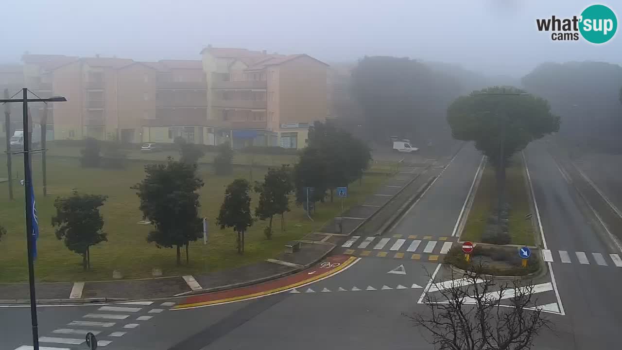 Web kamera Rosolina mare