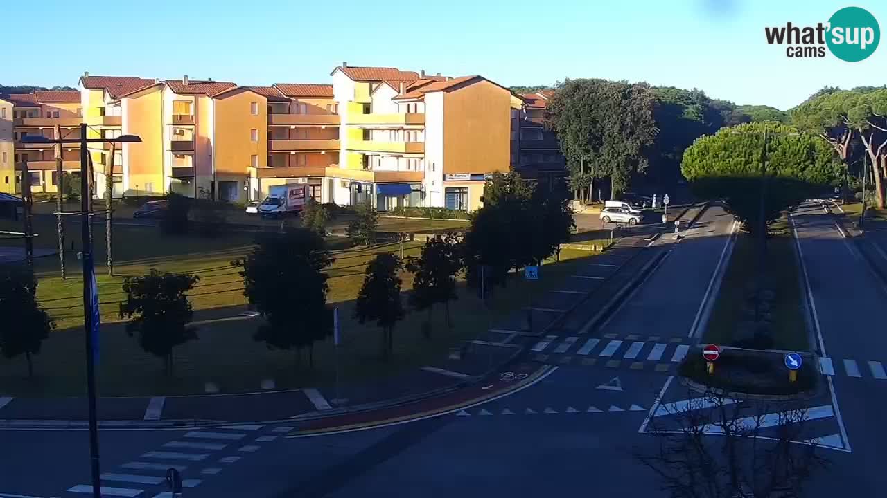 Livecam Rosolina mare