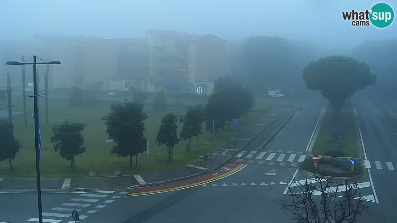 Livecam Rosolina mare