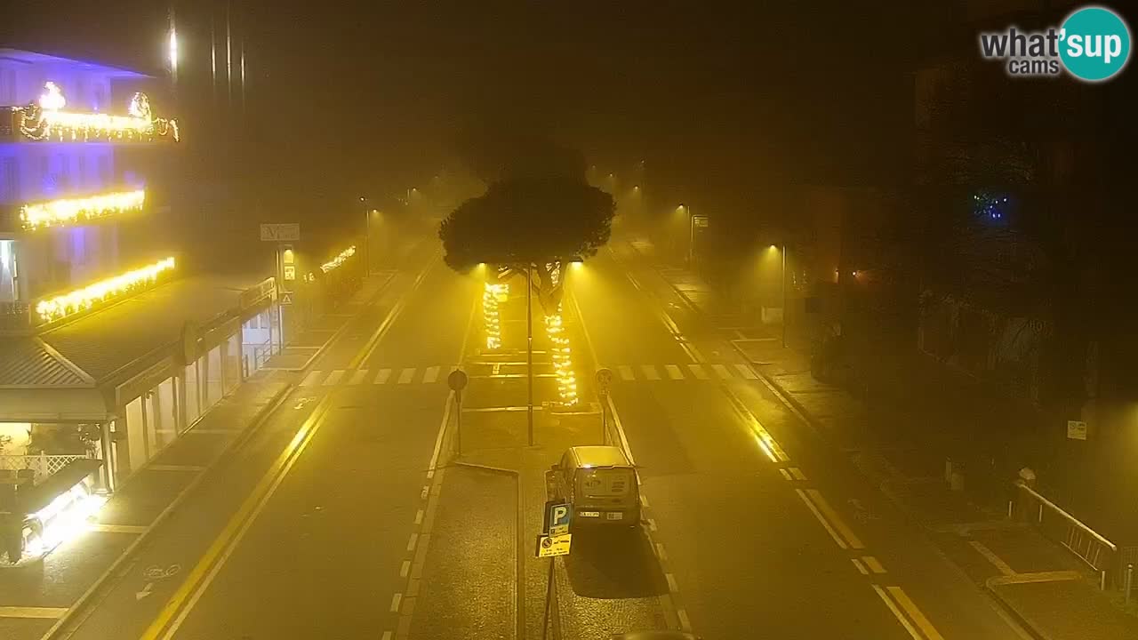 Livecam Rosolina mare