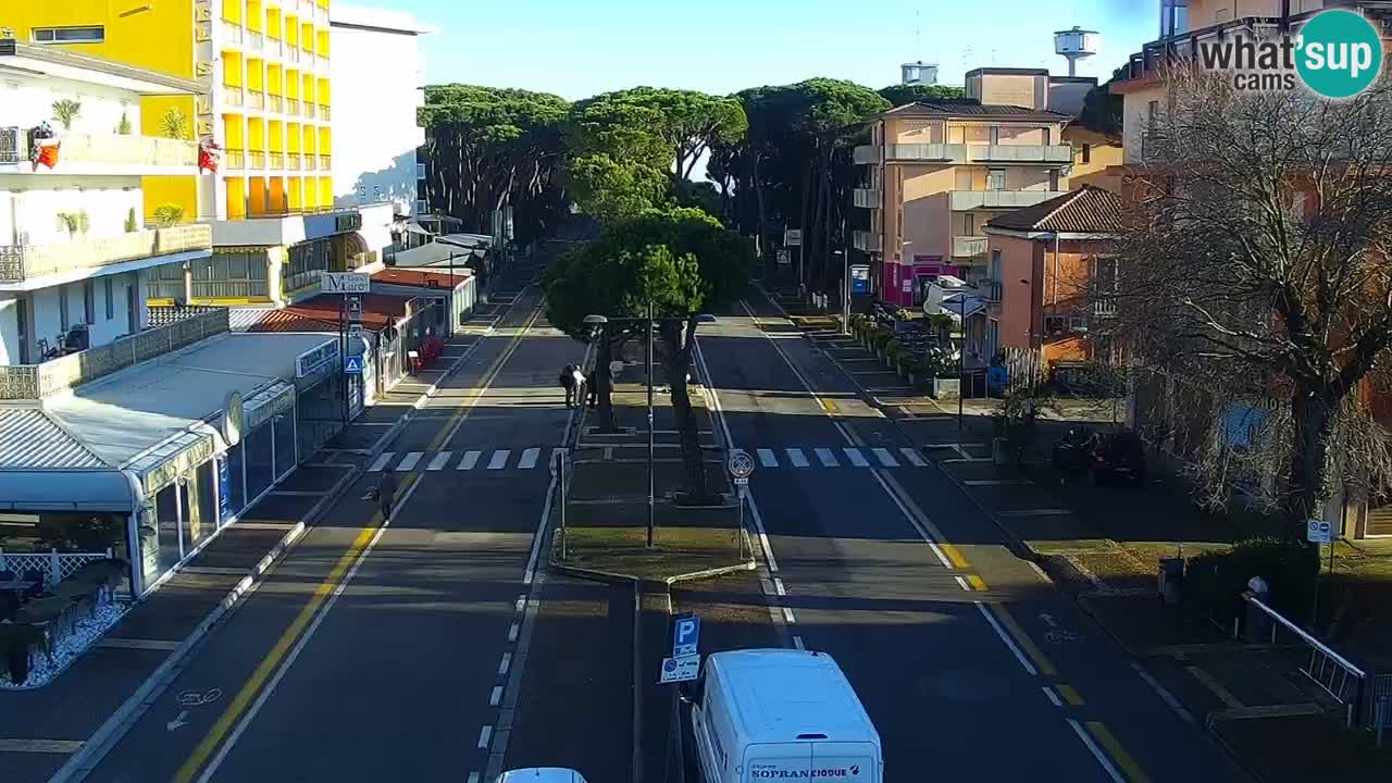 Livecam Rosolina mare