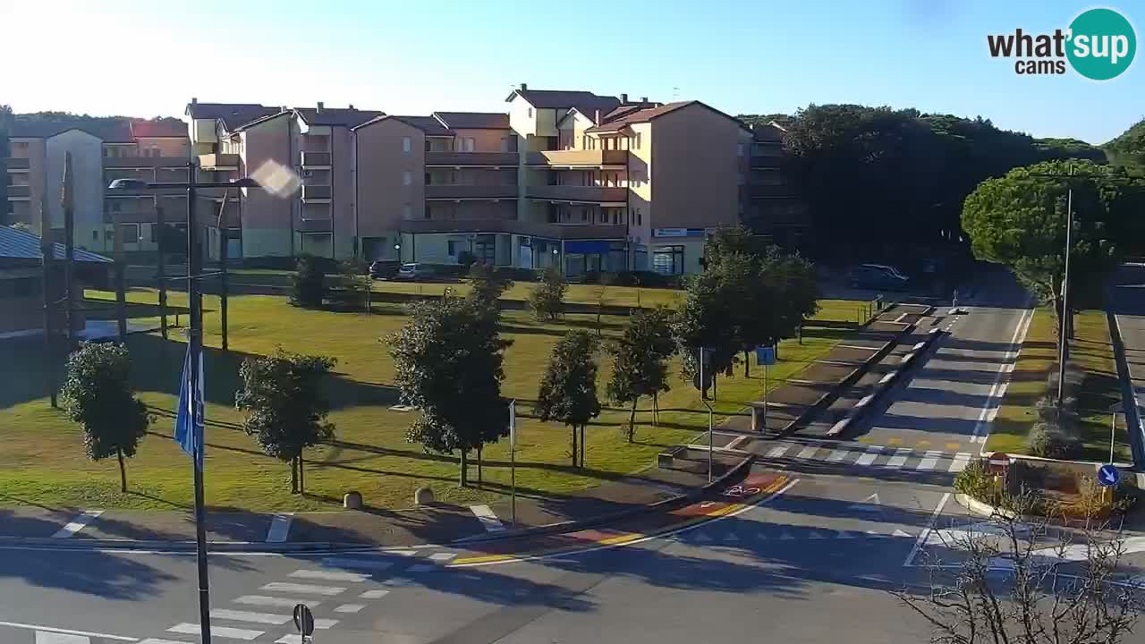 Livecam Rosolina mare