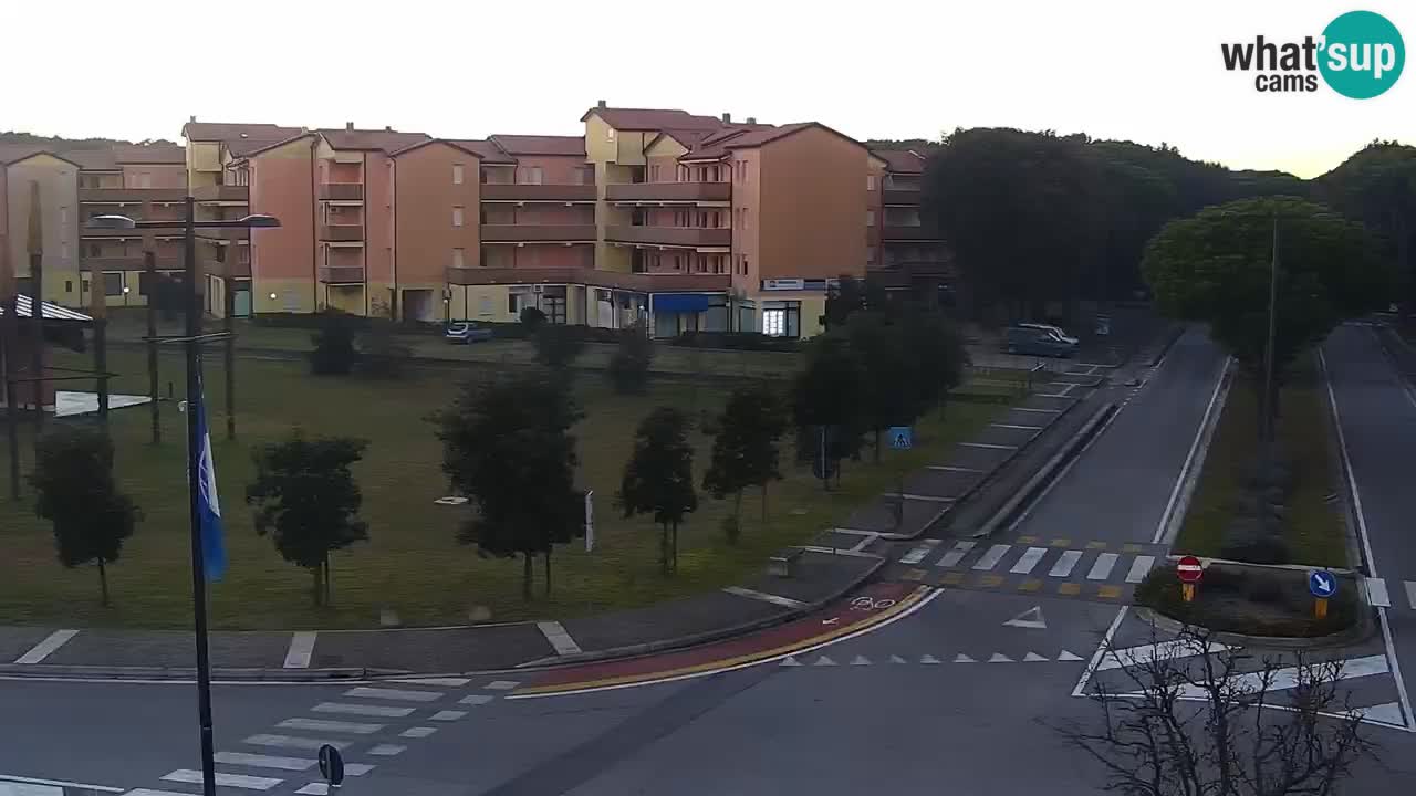 Camera en vivo Rosolina mare