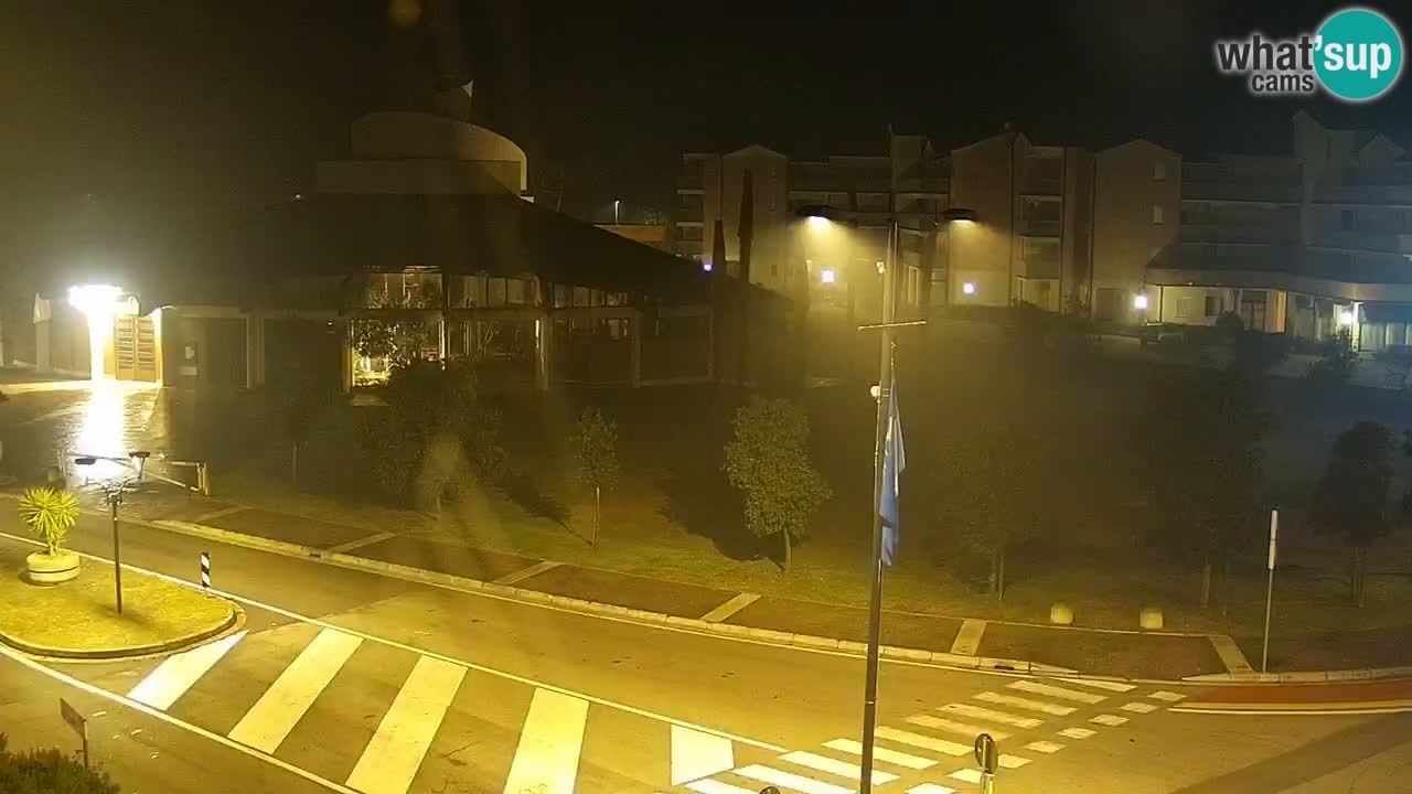 Camera en vivo Rosolina mare