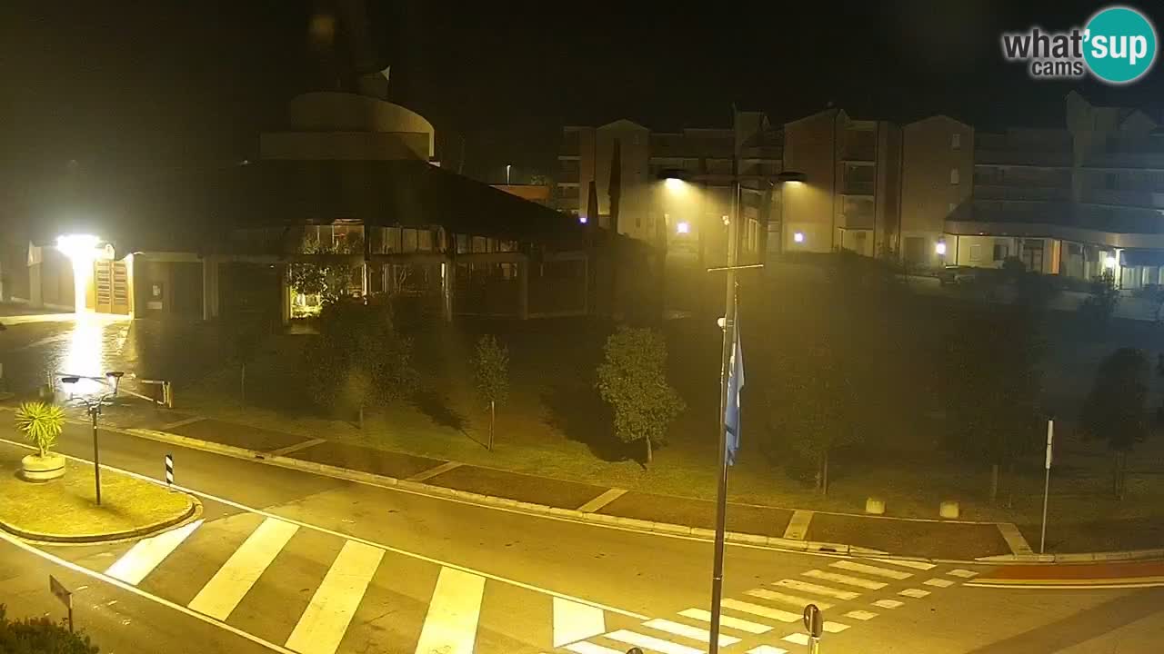 Camera en vivo Rosolina mare