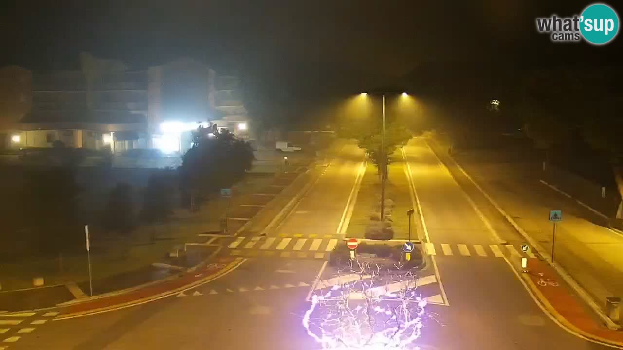 Camera en vivo Rosolina mare