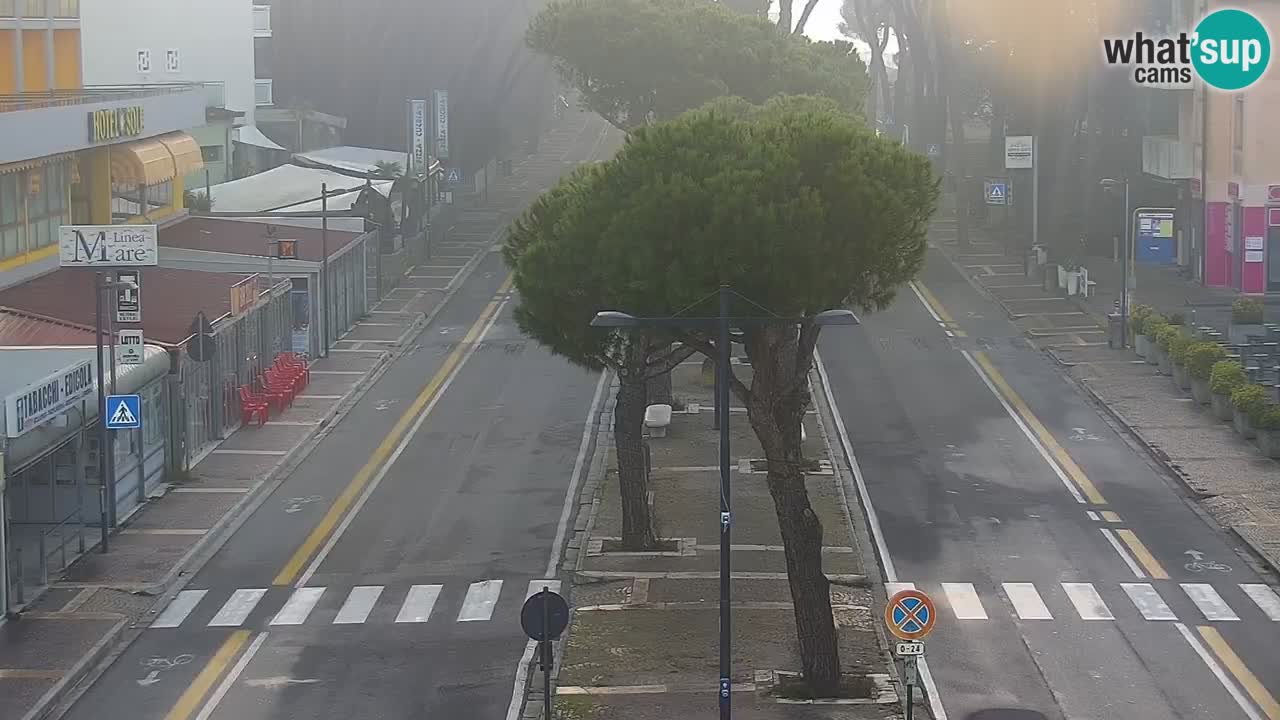 Camera en vivo Rosolina mare