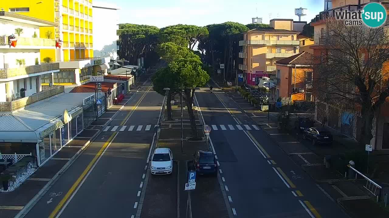 Livecam Rosolina mare