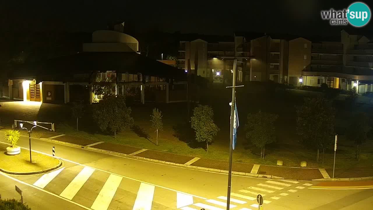 Camera en vivo Rosolina mare