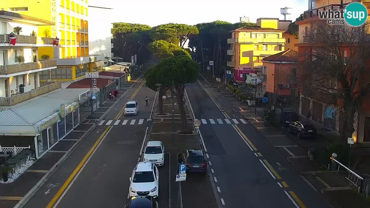 Camera en vivo Rosolina mare