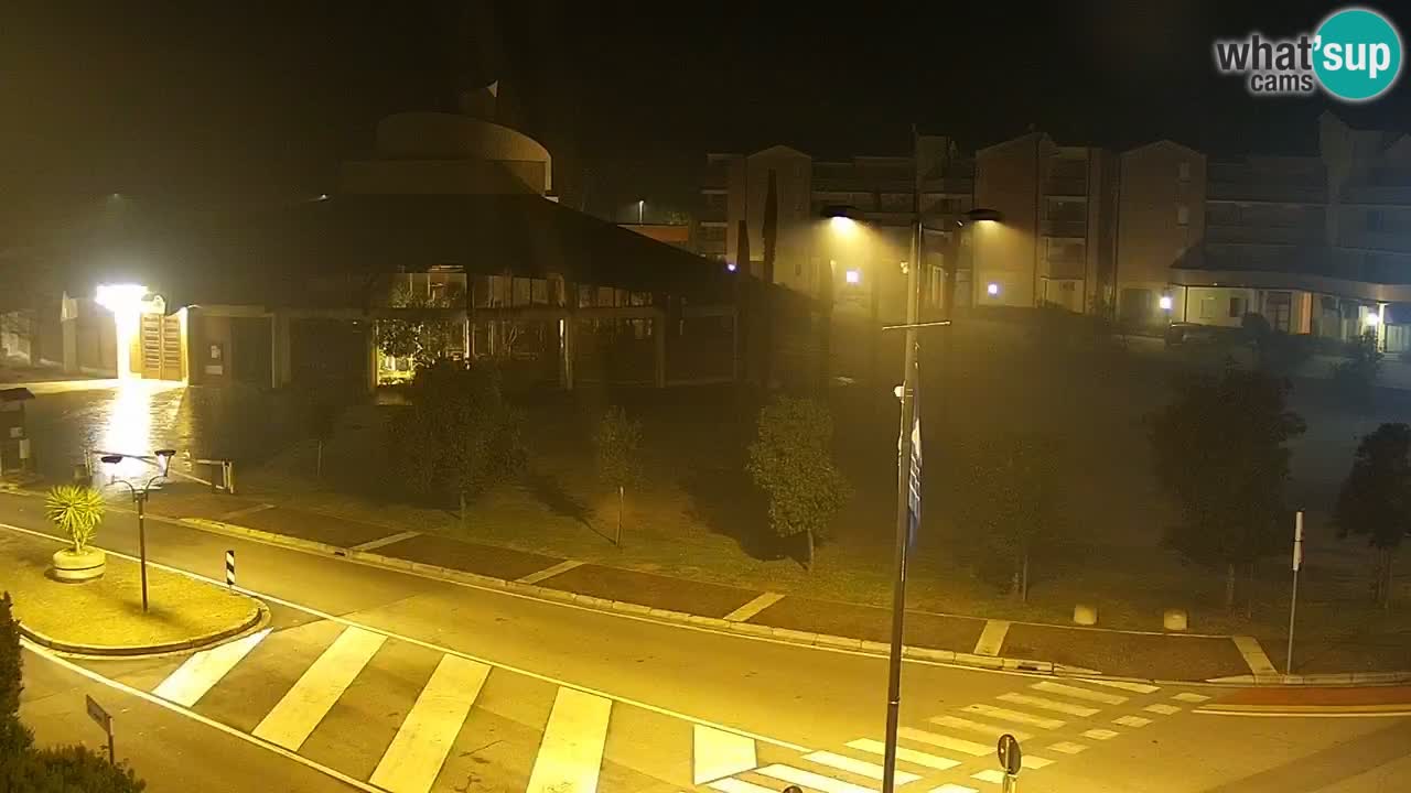 Livecam Rosolina mare