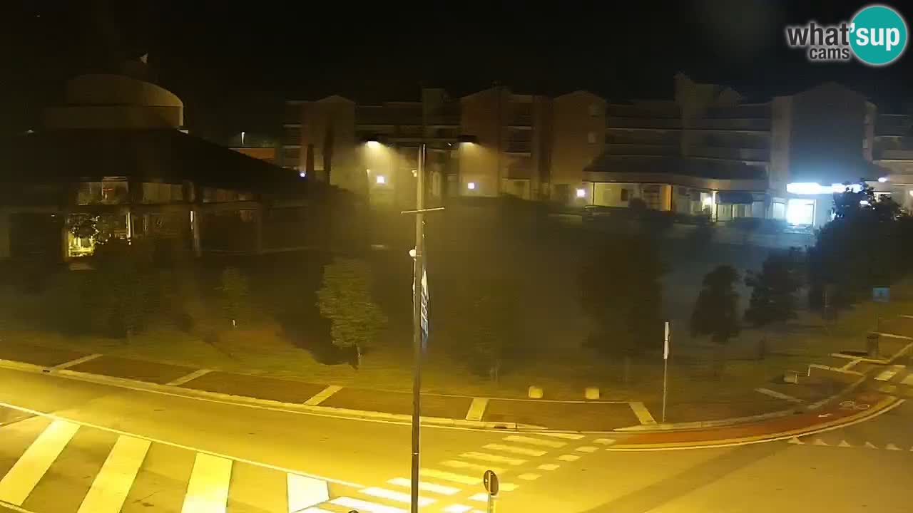 Livecam Rosolina mare