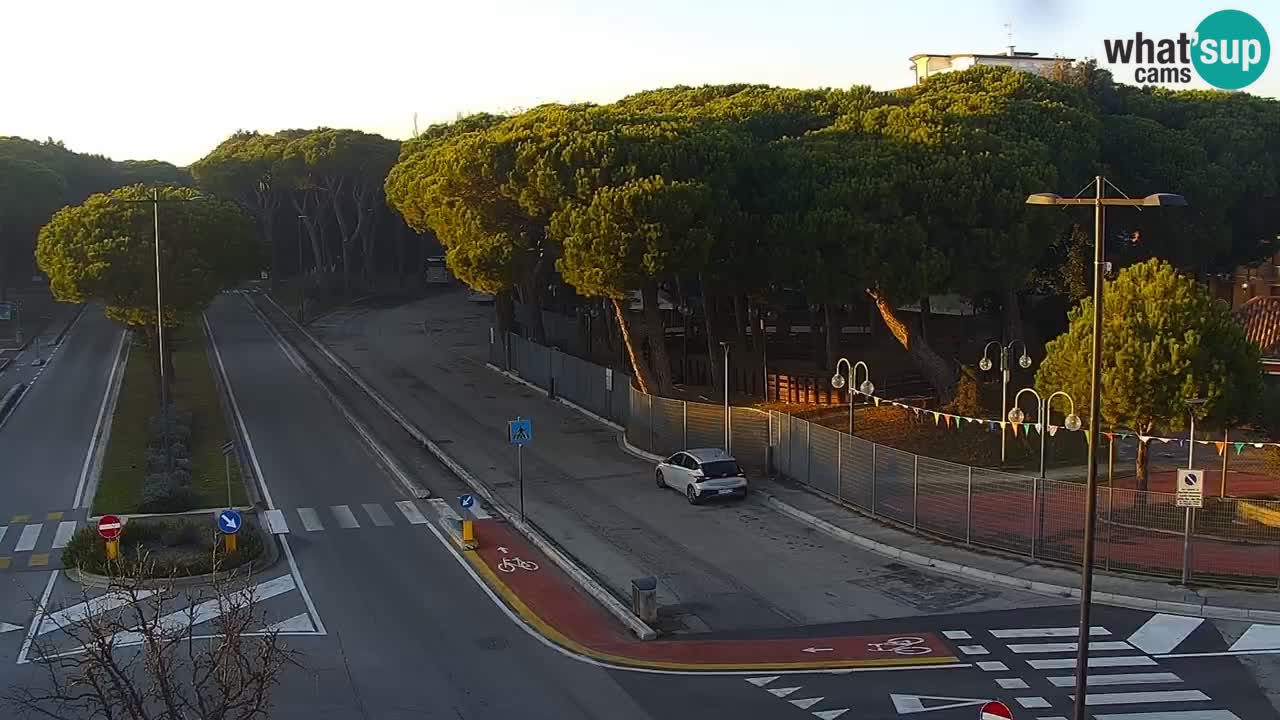 Livecam Rosolina mare