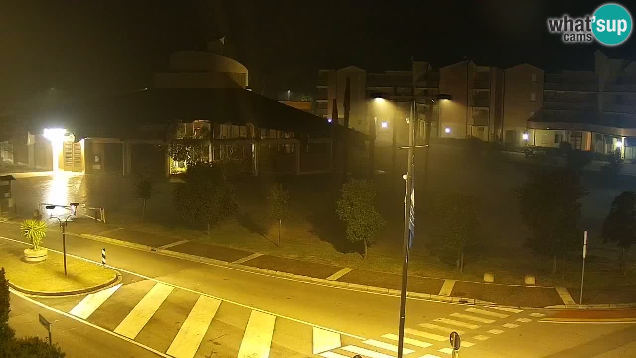 Livecam Rosolina mare