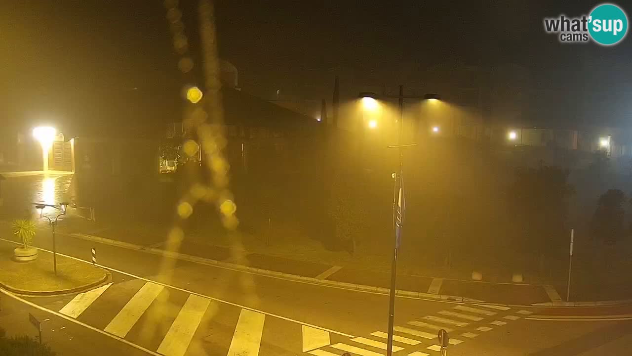 Camera en vivo Rosolina mare