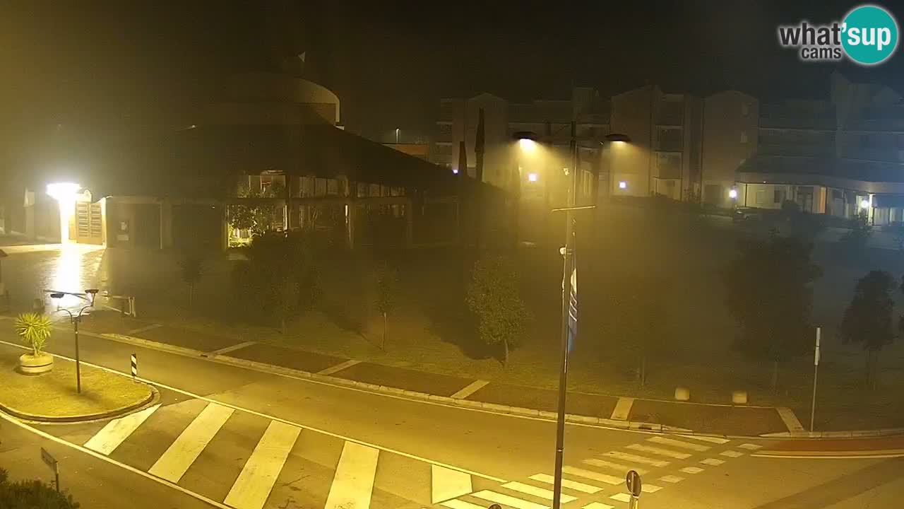 Livecam Rosolina mare