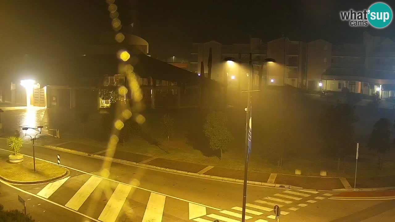 Camera en vivo Rosolina mare