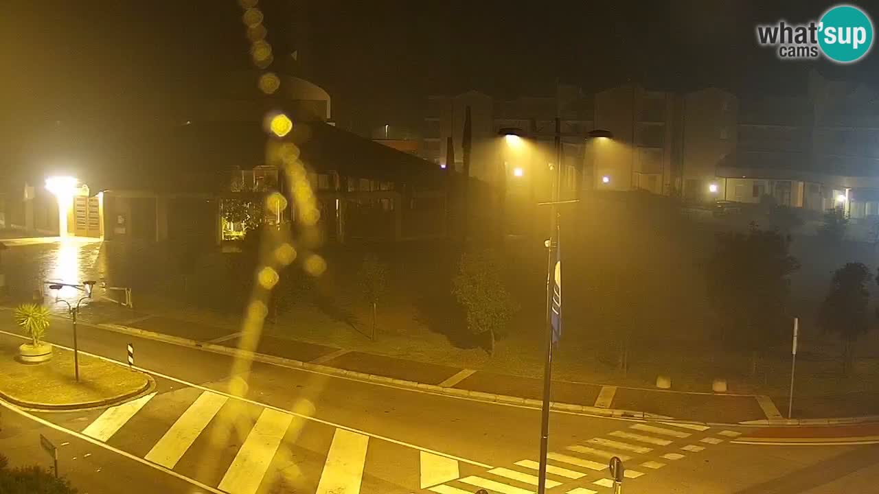 Camera en vivo Rosolina mare