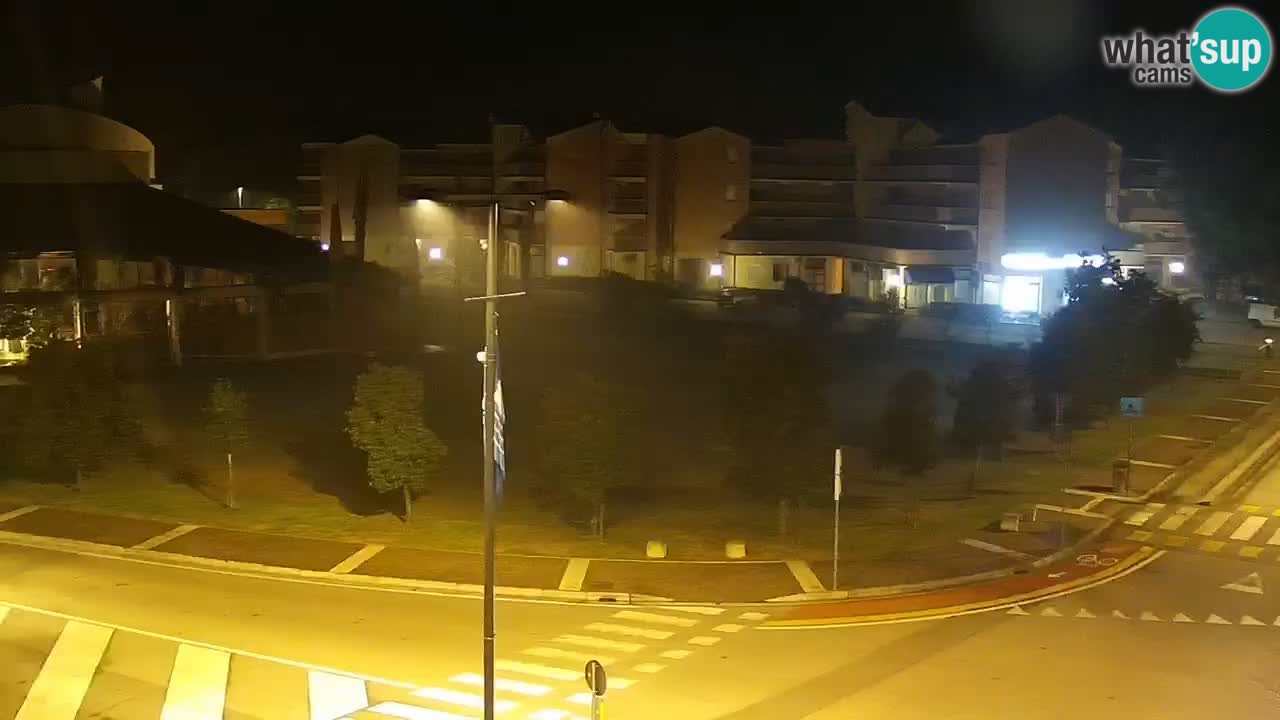 Camera en vivo Rosolina mare