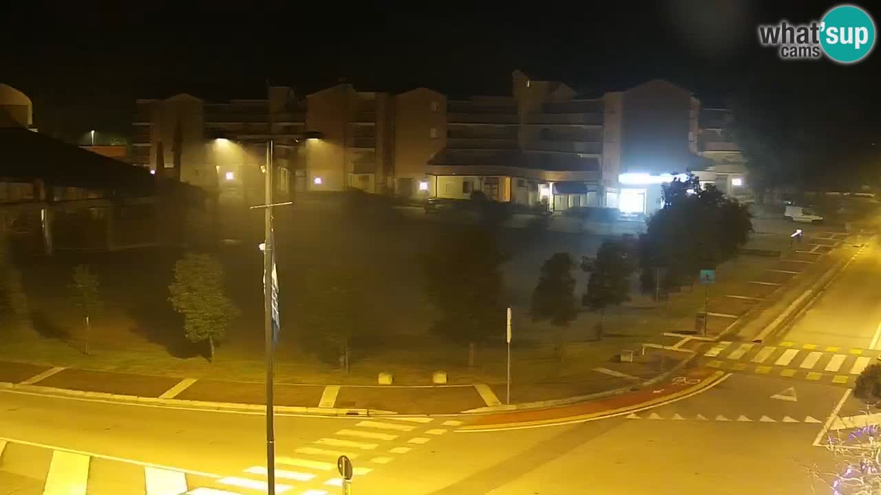 Camera en vivo Rosolina mare