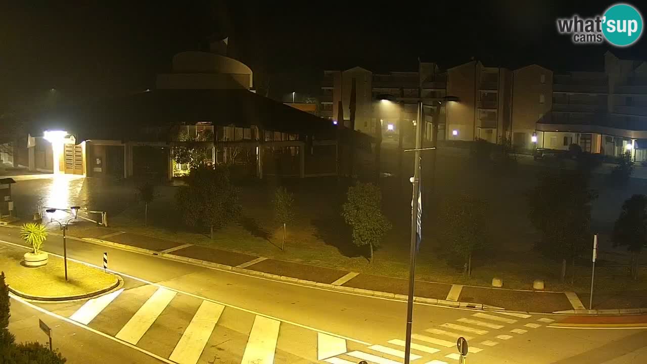 Livecam Rosolina mare