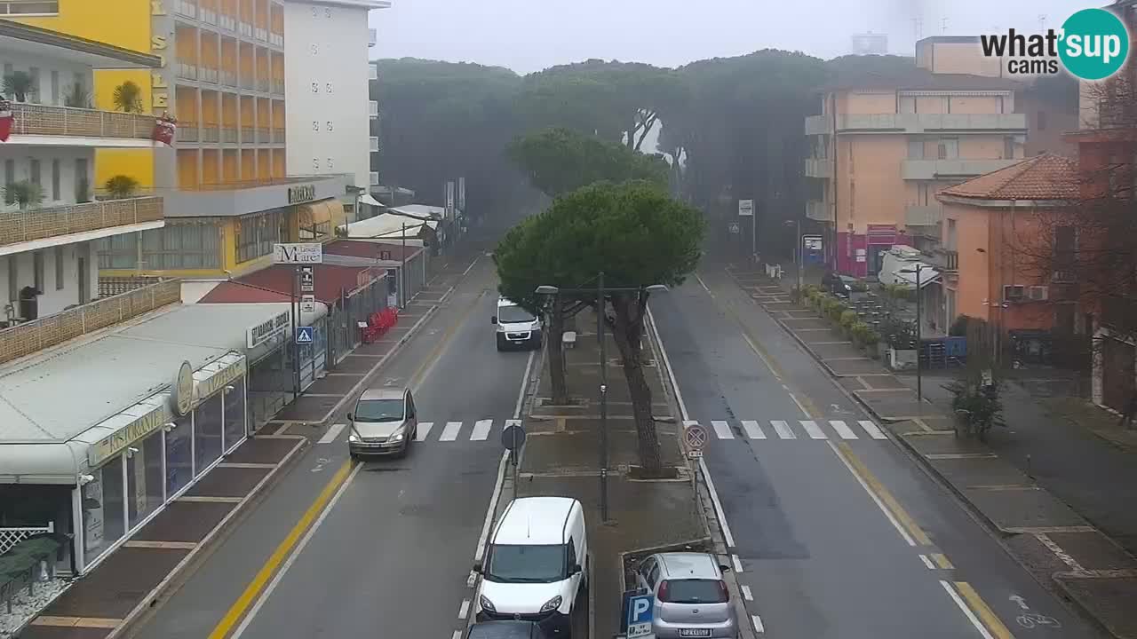 Livecam Rosolina mare