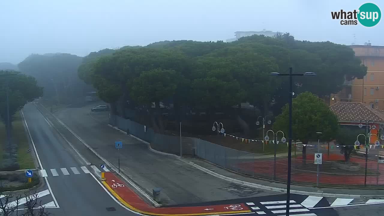 Camera en vivo Rosolina mare