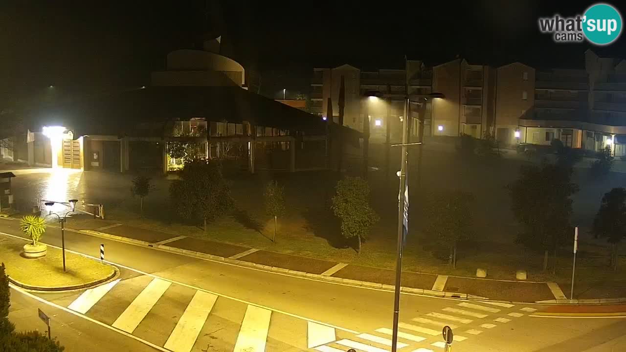 Camera en vivo Rosolina mare