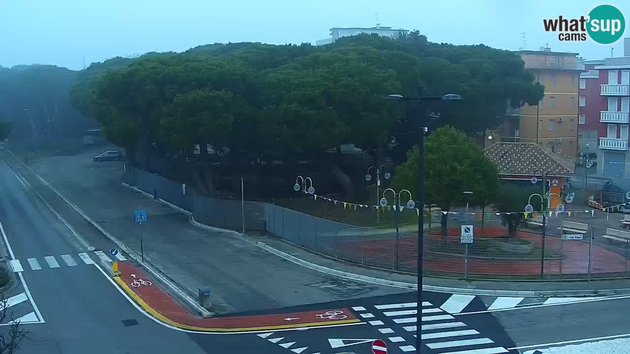 Livecam Rosolina mare