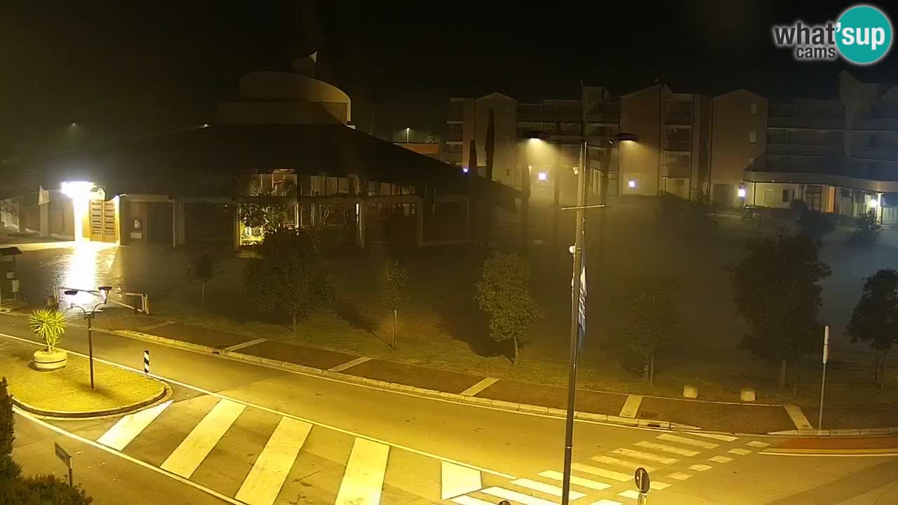 Livecam Rosolina mare