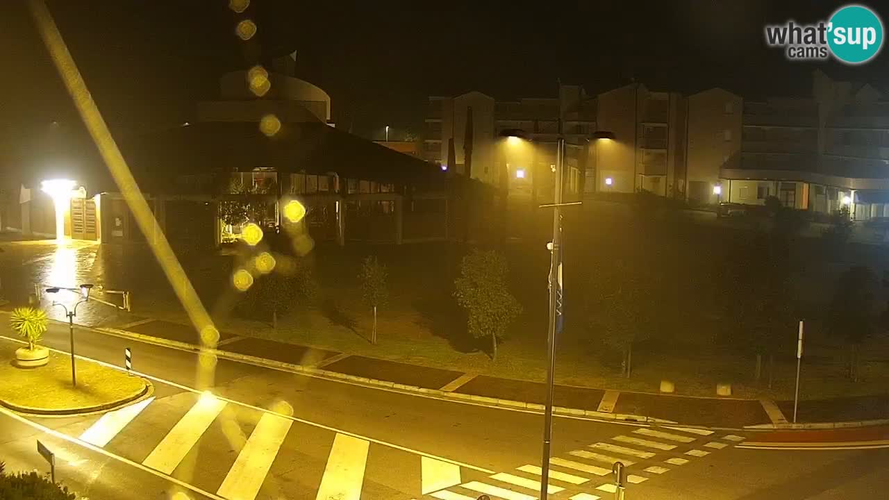 Camera en vivo Rosolina mare