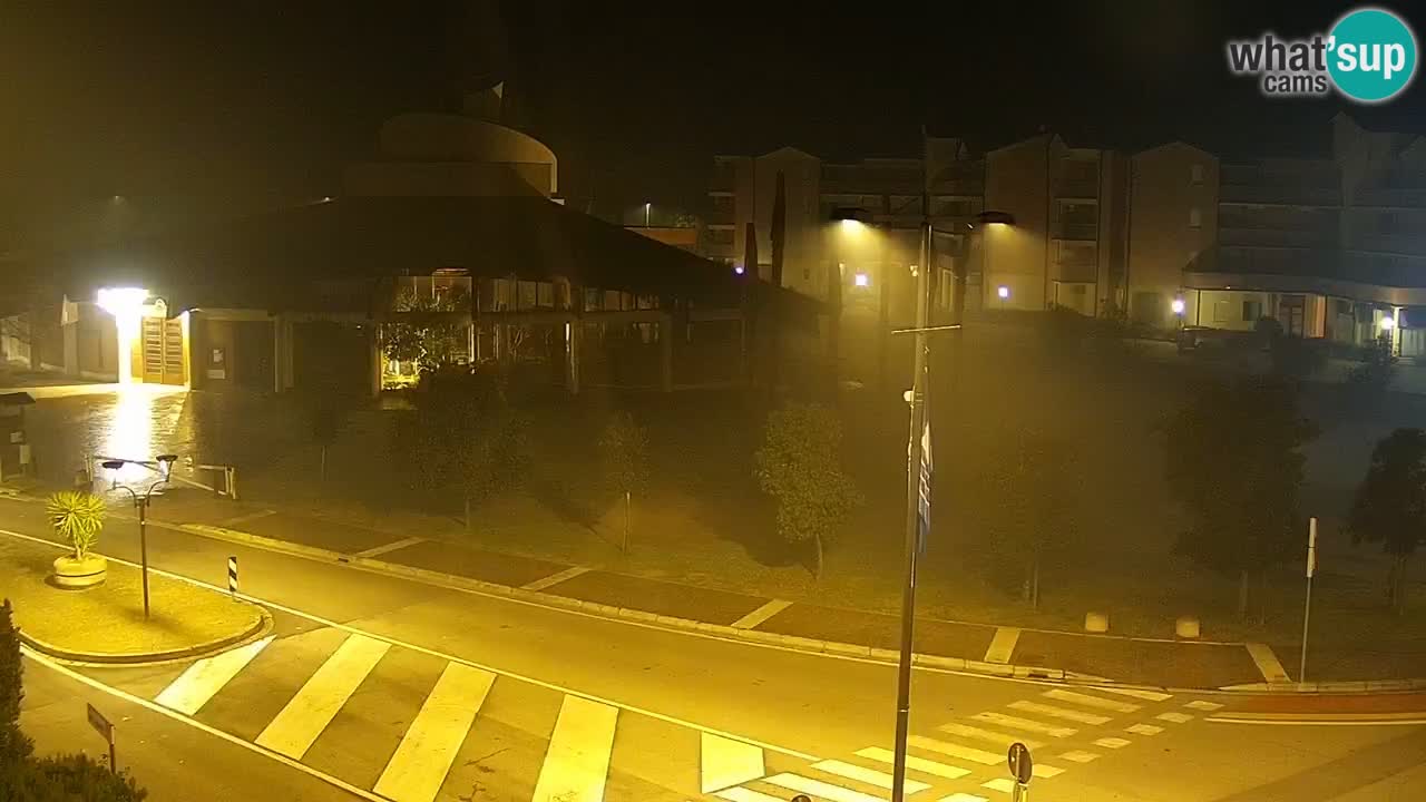 Camera en vivo Rosolina mare