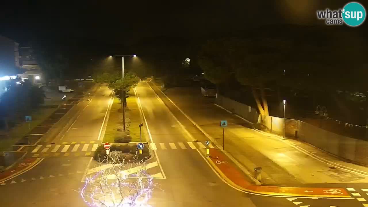 Camera en vivo Rosolina mare