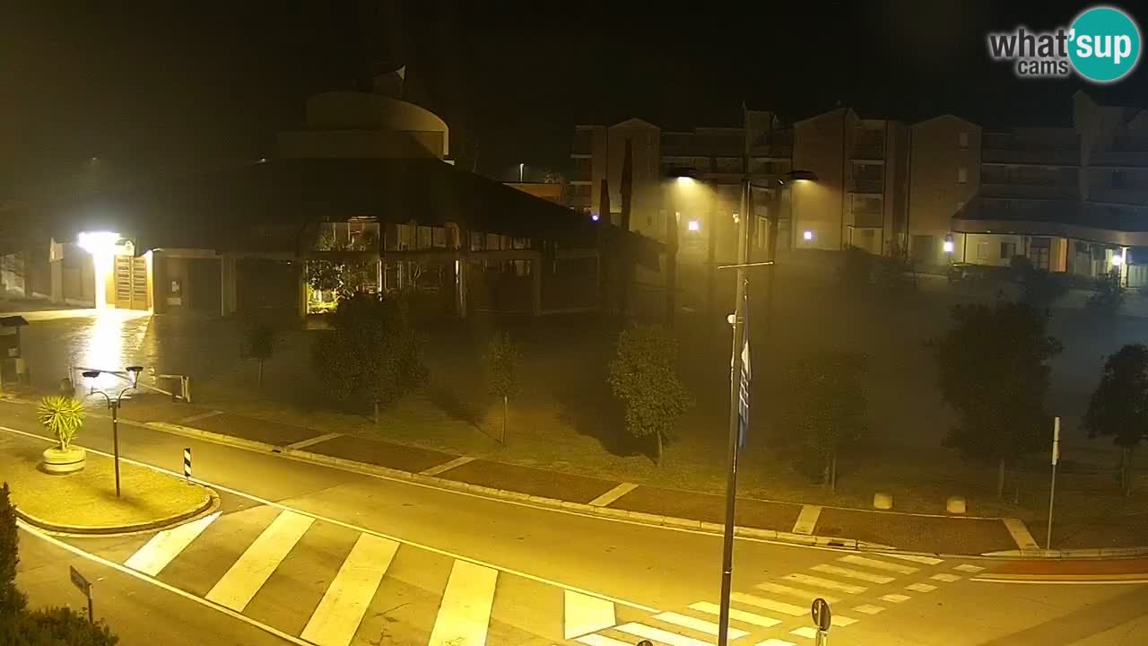 Livecam Rosolina mare