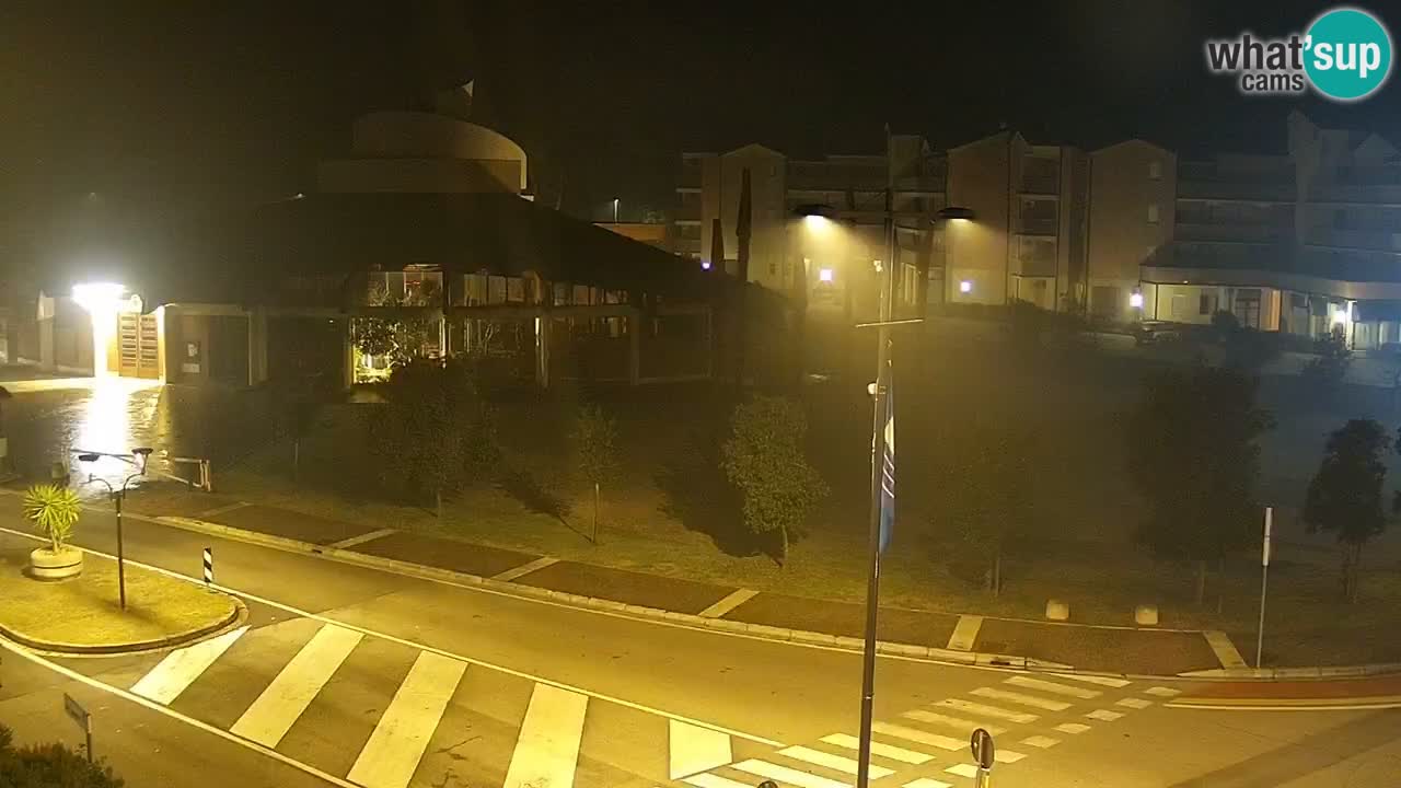 Livecam Rosolina mare