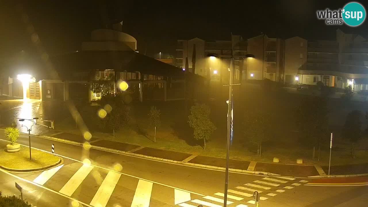 Livecam Rosolina mare