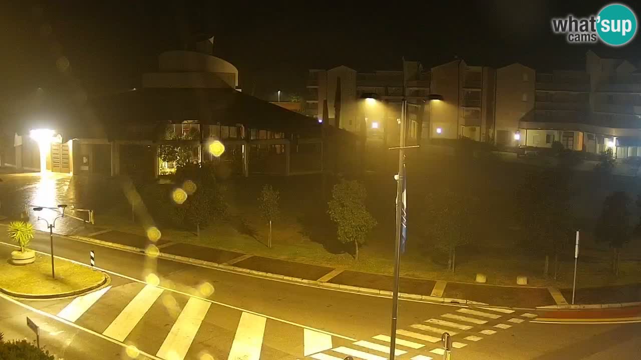 Livecam Rosolina mare