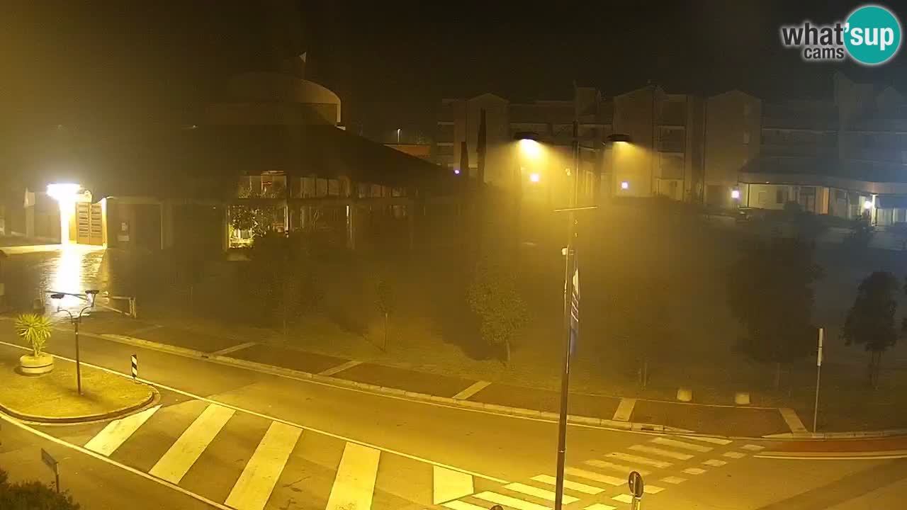 Livecam Rosolina mare