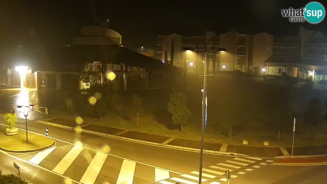 Camera en vivo Rosolina mare