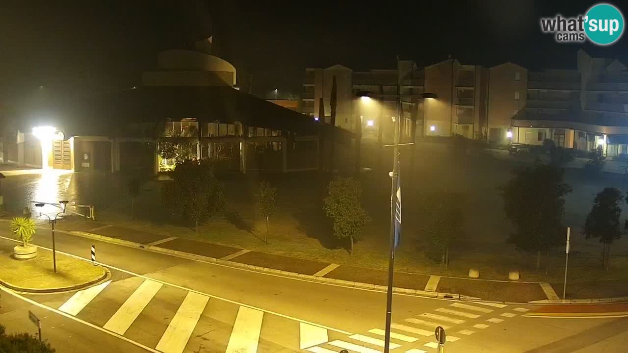 Camera en vivo Rosolina mare