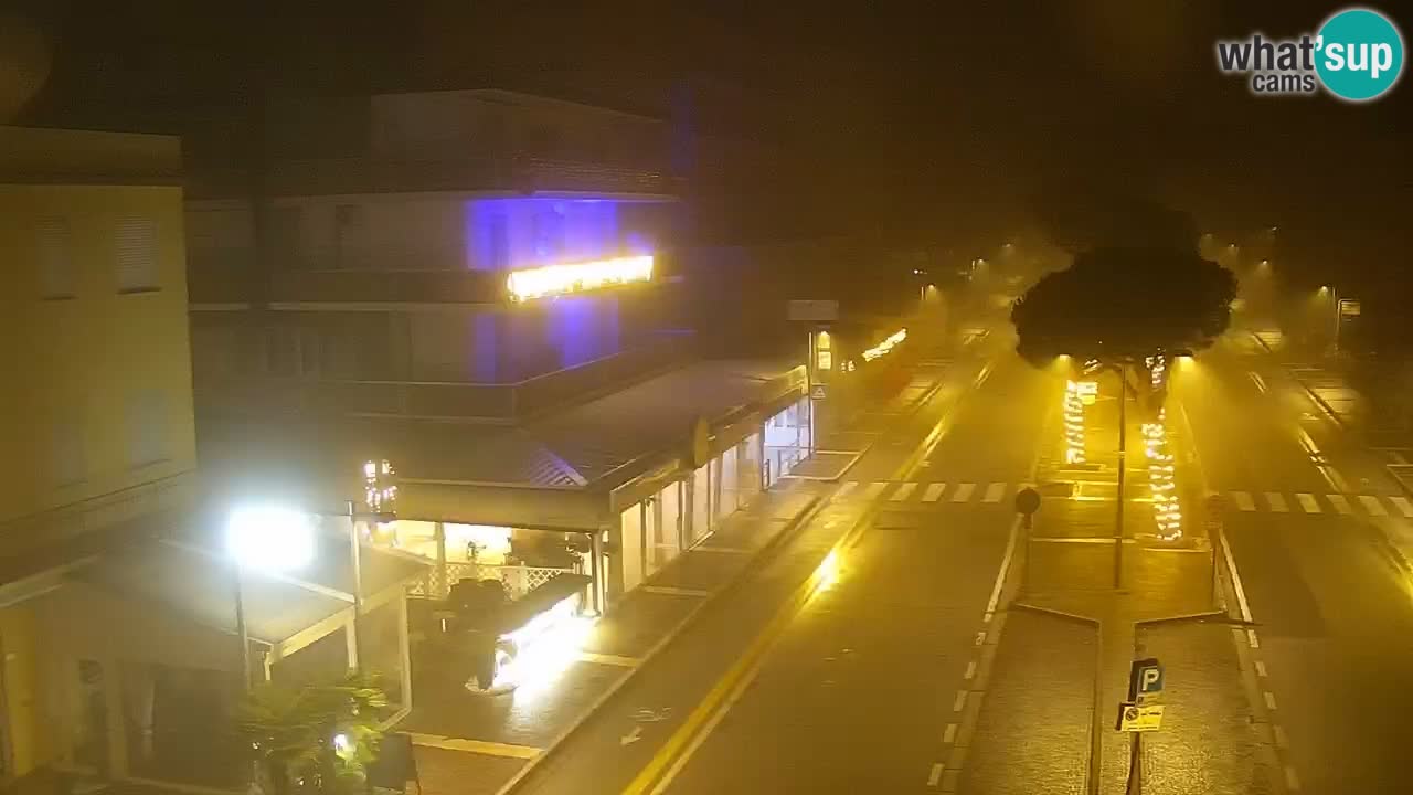 Camera en vivo Rosolina mare