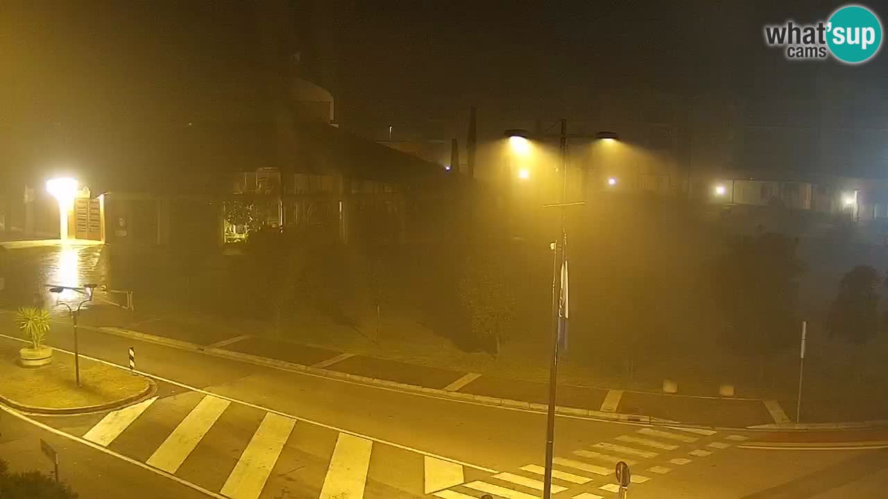 Camera en vivo Rosolina mare