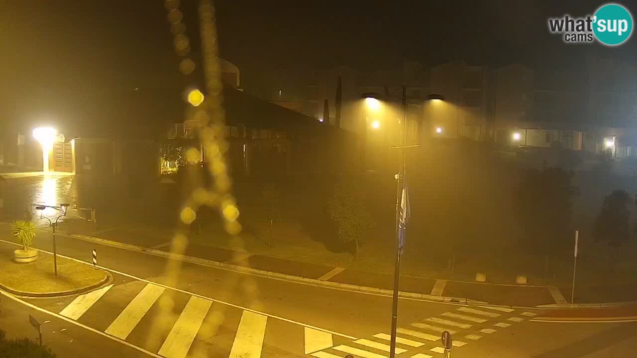 Livecam Rosolina mare