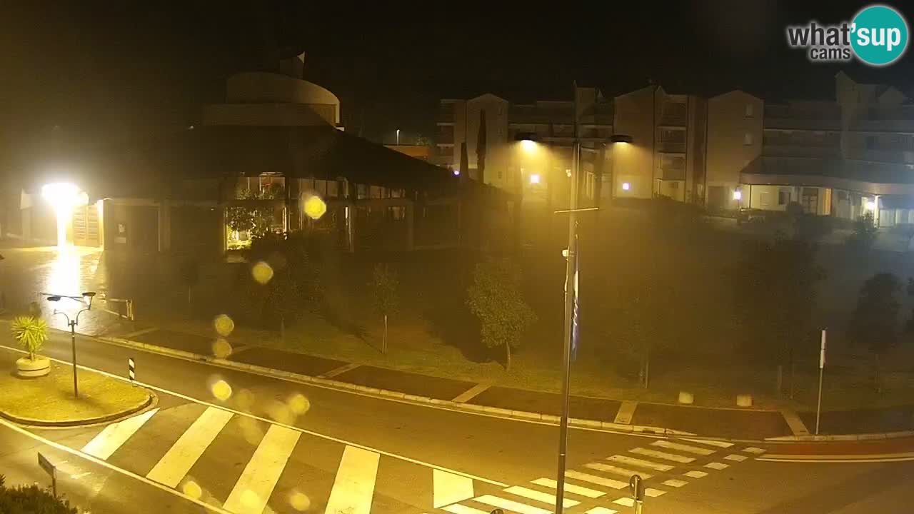 Camera en vivo Rosolina mare