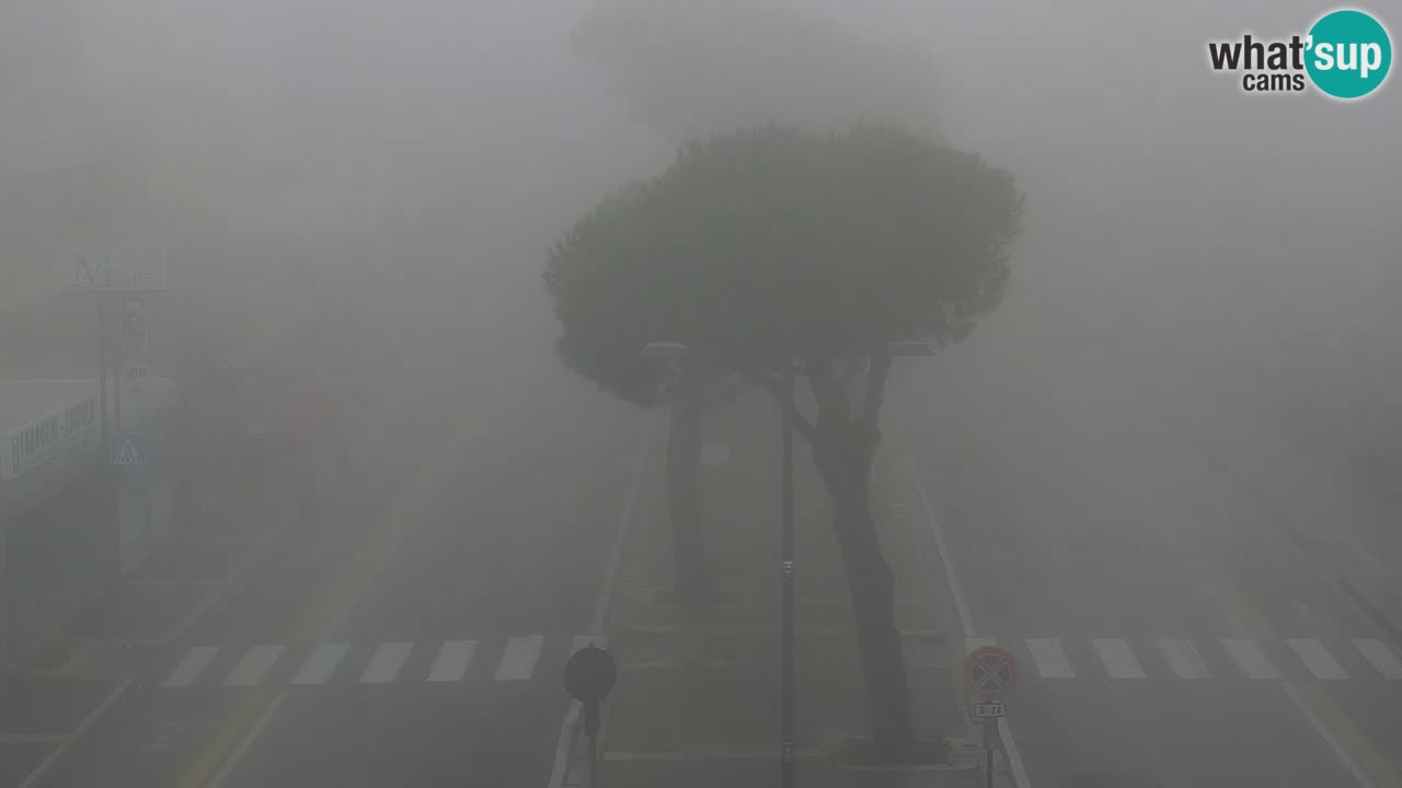 Web kamera Rosolina mare