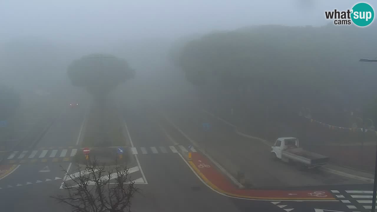 Livecam Rosolina mare