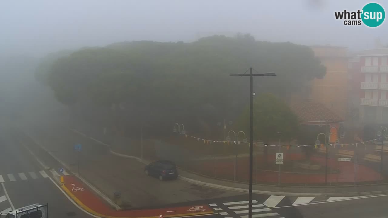 Livecam Rosolina mare