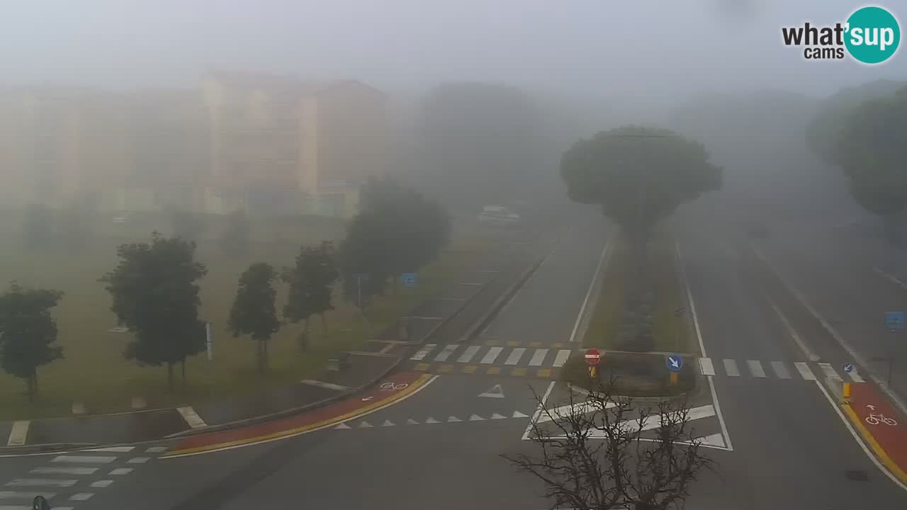 Camera en vivo Rosolina mare