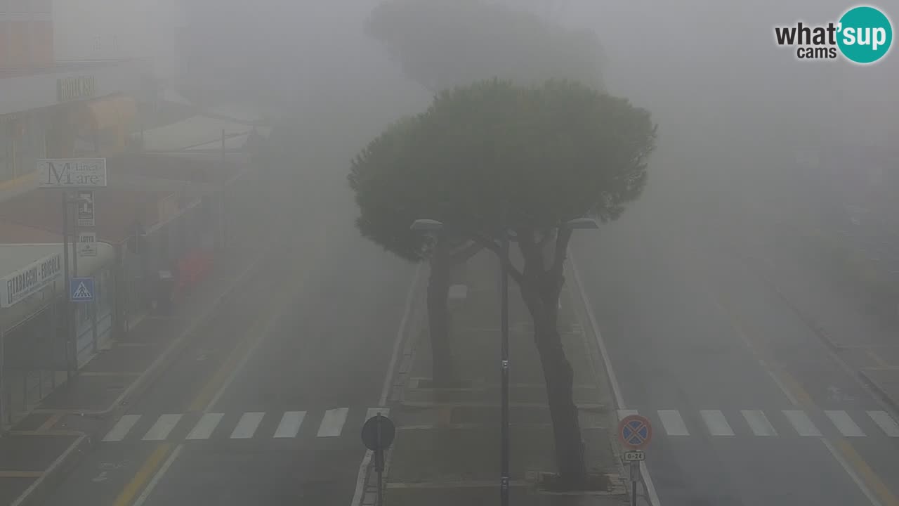 Livecam Rosolina mare