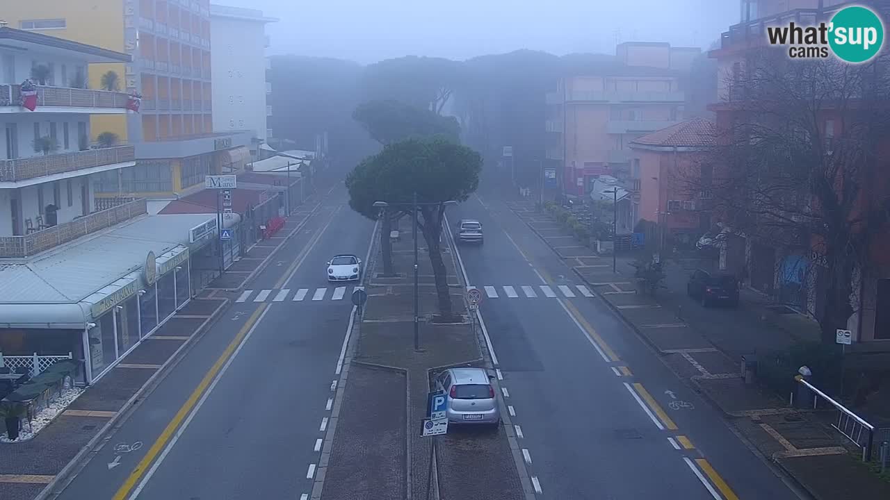 Web kamera Rosolina mare